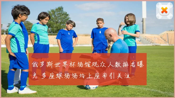 俄罗斯世界杯场馆观众人数排名曝光 多座球场场均上座率引关注