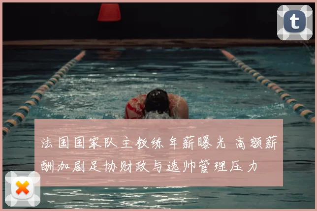 法国国家队主教练年薪曝光 高额薪酬加剧足协财政与选帅管理压力