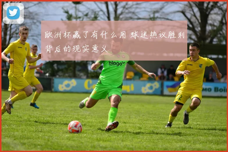 欧洲杯赢了有什么用 球迷热议胜利背后的现实意义
